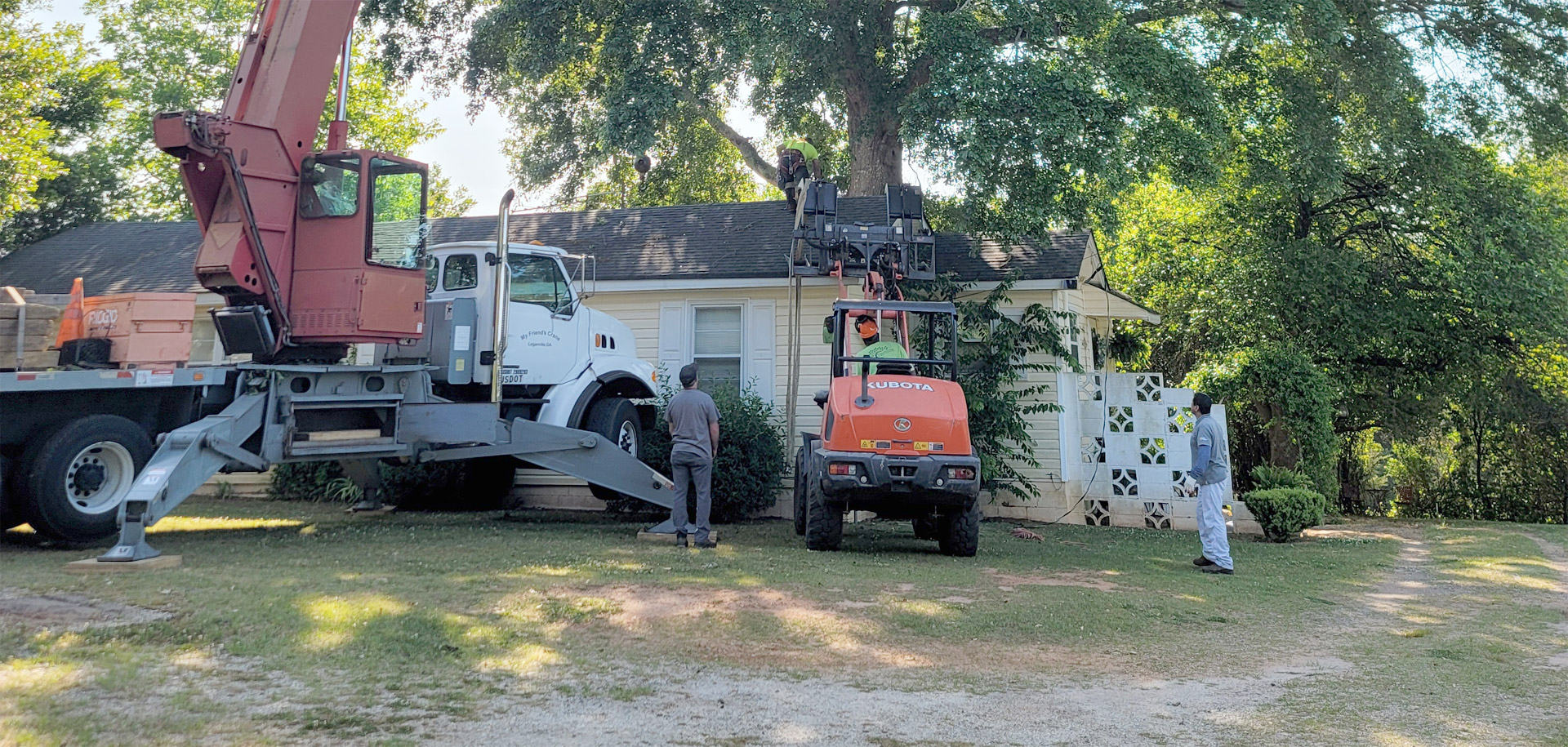 Tree Removal Services Madison