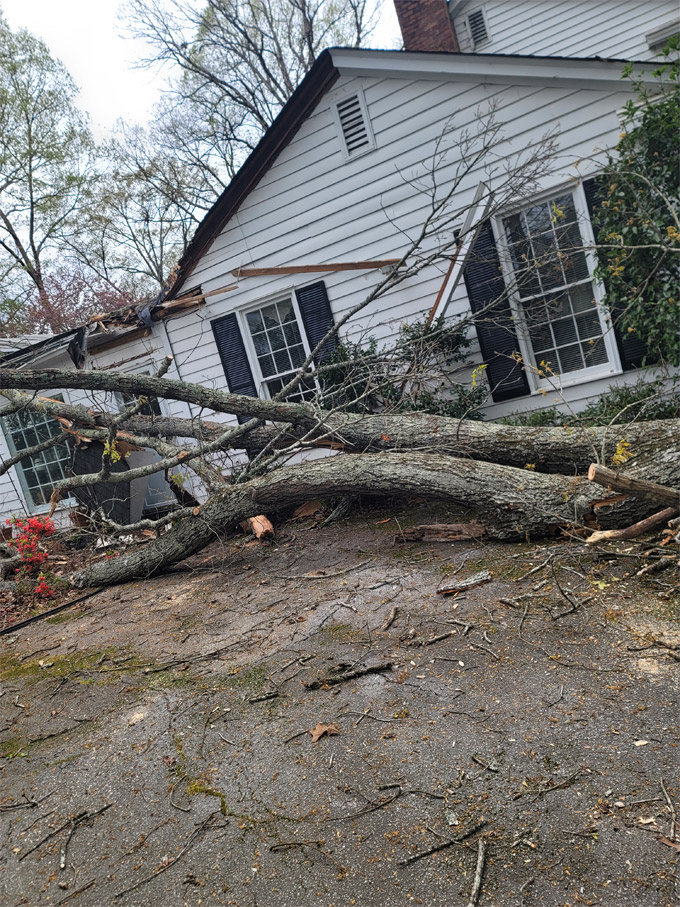 Emergency Tree Service Madison GA