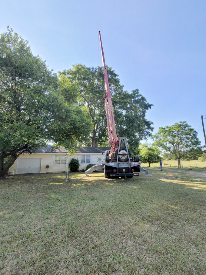 Stump grinding Branching Out Tree Service