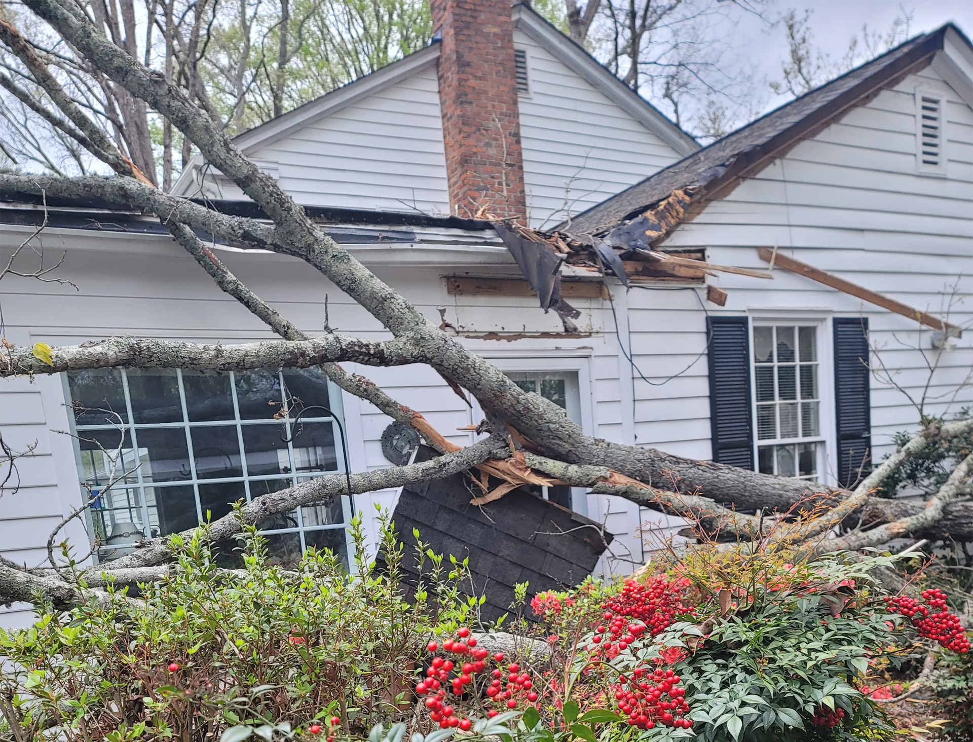 Emergency Tree Service​