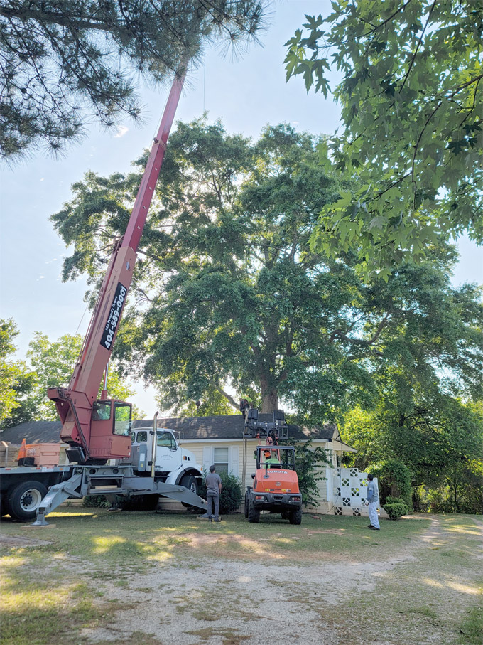 Tree Removal Services​